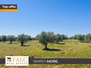 „Ruhige Lage mit bester Anbindung – Grundstück im Herzen der Ostküste